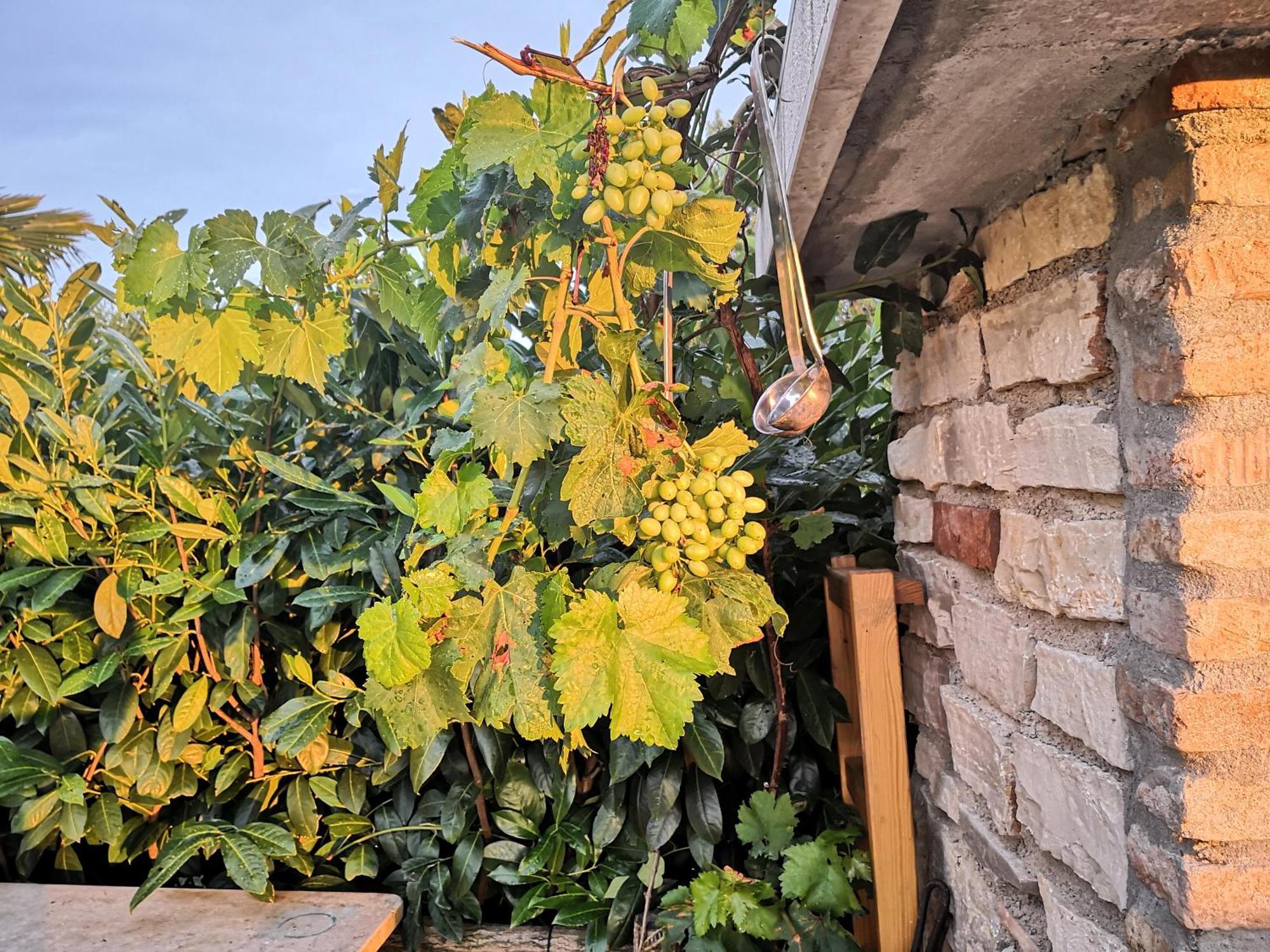 Casa Romantica Umag Kültér fotó